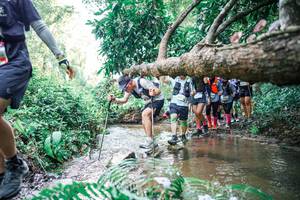 BIB: 
                            <button type="button" onclick="openModal(25475842)" class="btn btn-primary btn-sm float-right btn-popup" data-toggle="modal" data-target=".modal-high-quality">
                        <i class="fas fa-shopping-cart"></i> Add to Cart
                    </button>
                                            <button type="button" onclick="isThisMe(25475842, true)" class="btn btn-success btn-sm float-right btn-popup btn-isme hidden" data-toggle="tooltip" data-placement="bottom" title="นี่คือรูปของคุณใช่ไหม คลิกที่นี่เพื่อเอาเข้าอัลบั้ม">
                        <i class="fas fa-plus"></i> Add to album
                    </button>
                    <button type="button" onclick="isThisMe(25475842, false)" class="btn btn-warning btn-sm float-right btn-popup btn-isnotme hidden">
                        <i class="fas fa-ban"></i> Remove from album
                    </button>